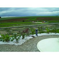 Assainissement autonome par filtres de roseaux | Ecophyltre