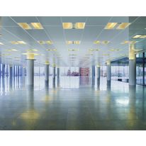 Elément rayonnant de faux plafond en 60 cm de large | Carboline