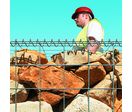 Gabions en 14 dimensions pour toutes configurations | Gabions