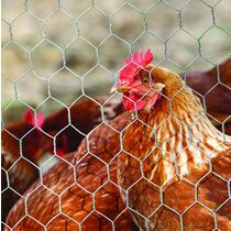 Grillage rouleau agricole | Triple torsion