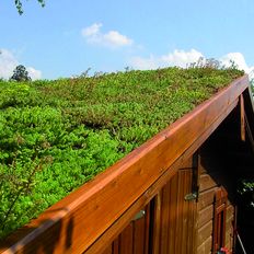 Végétalisation personnalisable pour toitures en pente | Babylone Classique