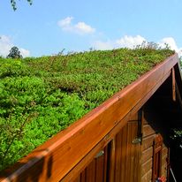 Végétalisation personnalisable pour toitures en pente | Babylone Classique