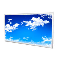 Panneau LED personnalisable de 72 W de puissance  | Panneau LED Personnalisable DreamLight