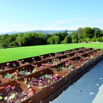 Complexe de végétalisation pour toitures prêt à l'emploi | Toundra Box