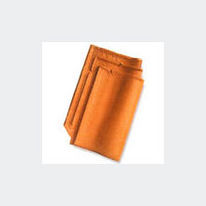 Tuile grand moule | Double  V