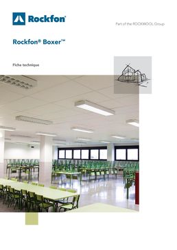 Dalles de plafond résistantes aux chocs | Rockfon Boxer 