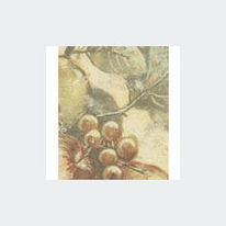 Revêtement mural minéral décoratif de 625 g/m²