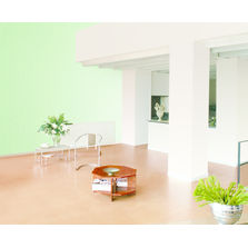 Peinture décorative polyvalente | Corosatin MT