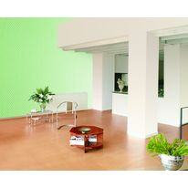 Peinture décorative polyvalente | Corosatin MT