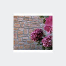 Pierres reconstituées moulées adaptables à tout support | Tradition