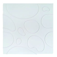 Plaques de parement mural décoratif sans raccord | Everglades