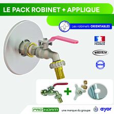 Robinet orientable ¼ de tour à sphère + Applique murale avec rosace de finition | PRONORM