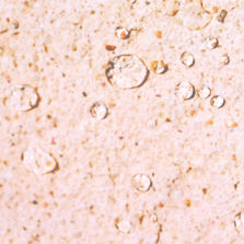 Antimousse et hydrofuge biodégradable pour matériaux poreux en toiture et façades | ABBAmousses Plus