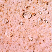 Antimousse et hydrofuge biodégradable pour matériaux poreux en toiture et façades | ABBAmousses Plus