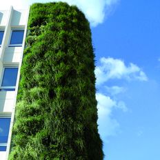 Module de végétalisation pour façades | Modulogreen