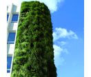 Module de végétalisation pour façades | Modulogreen