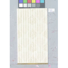 Carreaux céramiques émaillés pressés à sec | Future