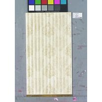 Carreaux céramiques émaillés pressés à sec | Future