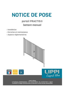 Portails et portillons battants en acier, manuels ou automatisés, pour un usage résidentiel | Practis battant 