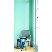 Peinture acrylique décorative aspect satiné velouté | Endurance Velours