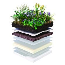 FT_Système de végétalisation rafraichissante en toiture terrasses urbaines | Sopranature Fresh