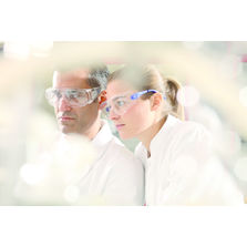 Lunettes de sécurité à branches ajustables | X-Pect 8000