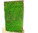Modules végétalisés pour doublure de façades | Vertigreen