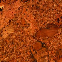 Lames contrecollées liège en 80 aspects | Eco Floor