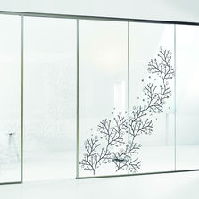 Cloisons vitrées sans montant de 50 mm d'épaisseur | Baya