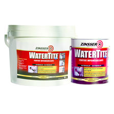 Peinture imperméabilisante antimoisissure | Watertite