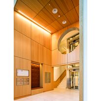 Panneau acoustique hybride en gypse avec placage bois perforé | Wood Design Board