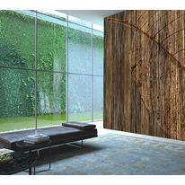 Papier peint panoramique Feuille -  BM115