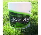 Gel décapant sans solvant pour vernis et peintures | Décap&#039;Vert