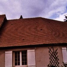 Algicide préventif-curatif avec effet hydrofuge | Dimousse Plus Toiture