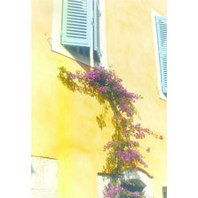 Enduit de finition teinté à la chaux grasse | Marbrex R/L