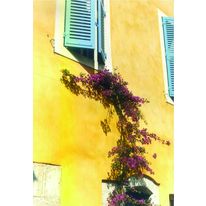 Enduit de finition teinté à la chaux grasse | Marbrex R/L