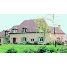 Tuiles plates pour panachage | Alliances de Aléonard