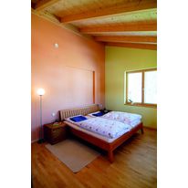 Peinture minérale anti-moisissure pour lieux humides | Mycal Top