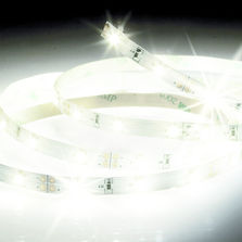 Ruban lumineux à Leds | Strip led XXX Evolution