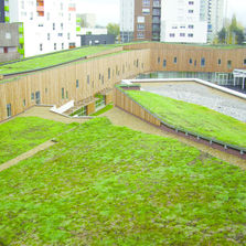 Tapis de sedums précultivé pour aménagements paysagers | i.D. Mat Sedum