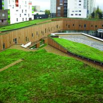 Tapis de sedums précultivé pour aménagements paysagers | i.D. Mat Sedum