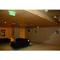 Panneau acoustique perforé à base de bois pour paroi ou plafond | Tavaperf