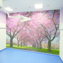 Panneau de protection avec impression numérique personnalisée M1 Bs2d0 | DECOPRINT