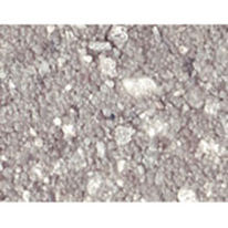 Revêtement de sol à base de résine et de gravier | Terrasol-Mix