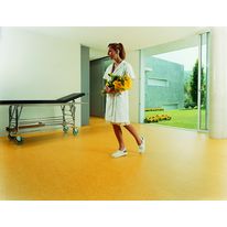 Linoléum haute résistance en 60 teintes | Marmorette PUR