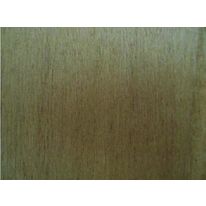 Panneau de contreplaqué en peuplier pour pièces humides | Contreplaqué externe BMT Peuplier