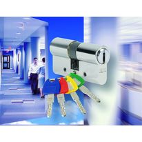 Cylindres mécaniques et électromagnétiques avec clés coordonnées | Keso 4000S Omega