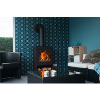 Poêle à bois en acier noir, rond, simple face | Qube 8 de SAEY