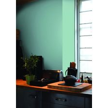 Peinture mate-veloutée à base de résines biosourcées | Sourcéa