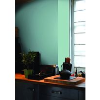 Peinture mate-veloutée à base de résines biosourcées | Sourcéa